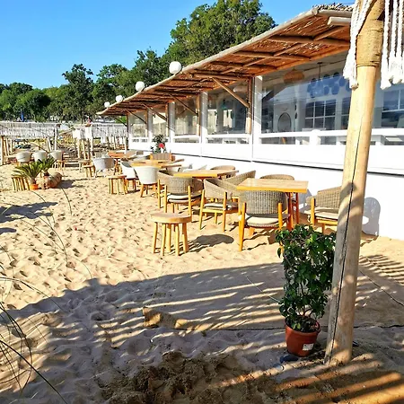 студио черноморски залив атия Διαμέρισμα Τσερνομόρετς